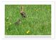 Thumbnail-10