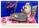 Thumbnail-8