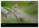 Thumbnail-11