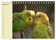 Thumbnail-10