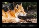 Thumbnail-9