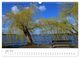 Thumbnail-11