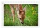 Thumbnail-12