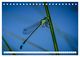 Thumbnail-8