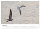 Thumbnail-13