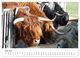Thumbnail-11