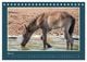 Thumbnail-10