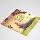 Thumbnail-12