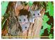 Thumbnail-10