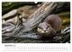 Thumbnail-14