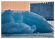 Thumbnail-9