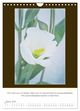 Thumbnail-13