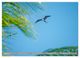Thumbnail-10