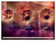 Thumbnail-13