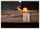 Thumbnail-8