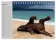 Thumbnail-11