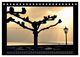 Thumbnail-14