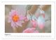 Thumbnail-13