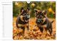 Thumbnail-11