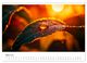 Thumbnail-8