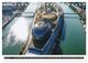 Thumbnail-11