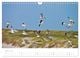 Thumbnail-8