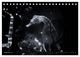 Thumbnail-14