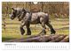 Thumbnail-11