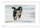 Thumbnail-14