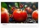 Thumbnail-10