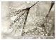 Thumbnail-12