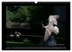 Thumbnail-10