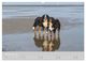 Thumbnail-12