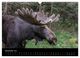 Thumbnail-14