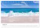 Thumbnail-13