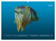 Thumbnail-9