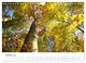 Thumbnail-12