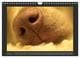 Thumbnail-10