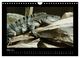 Thumbnail-8
