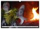 Thumbnail-9