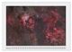 Thumbnail-10