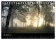 Thumbnail-13