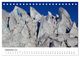 Thumbnail-11