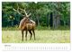 Thumbnail-9