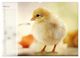 Thumbnail-7