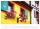 Thumbnail-13