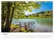 Thumbnail-10