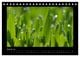 Thumbnail-10