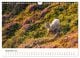 Thumbnail-11