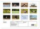 Thumbnail-9